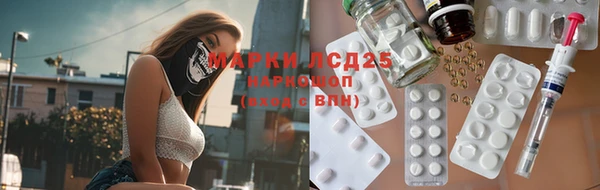 хмурый Алзамай