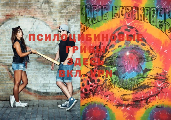 хмурый Алзамай