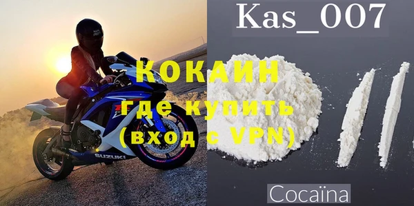 хмурый Алзамай