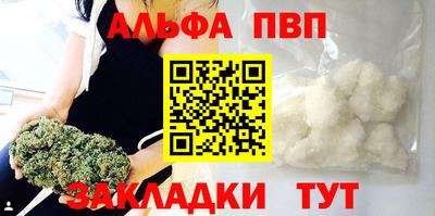 гидра Краснознаменск