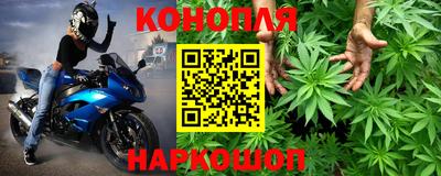 гидра Краснознаменск