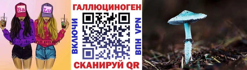 omg ссылка  Котельники  Галлюциногенные грибы Cubensis 