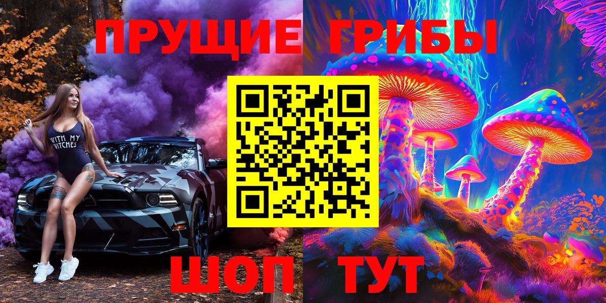 Котельники  Галлюциногенные грибы Cubensis  Вход с VPN 